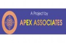 Apex Associates